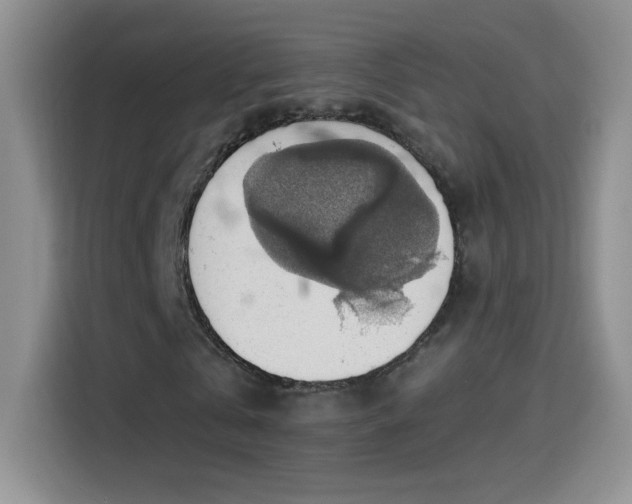 X0000115420769200911101631