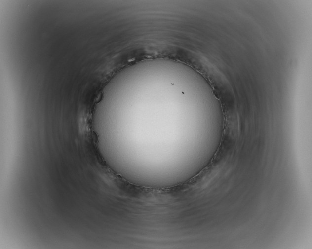 X0000115420770200911101631