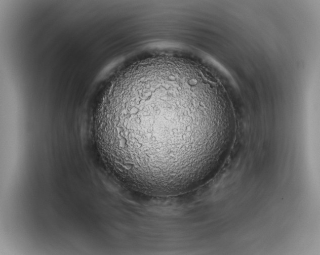 X0000115420775200911101631