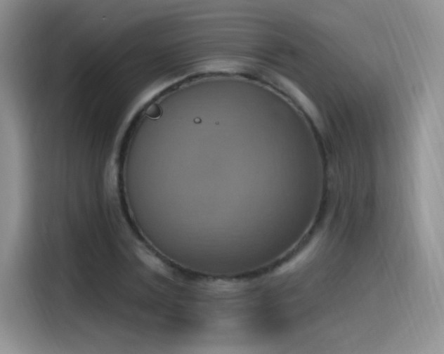 X0000115420779200911101631