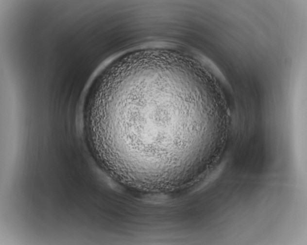 X0000115420784200911101631