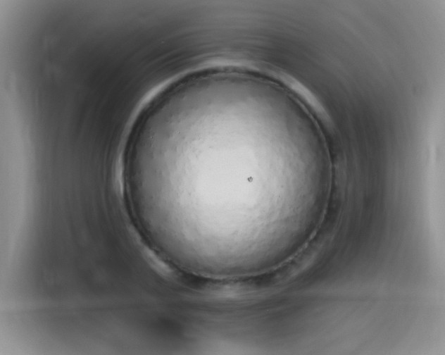 X0000115420791200911101630