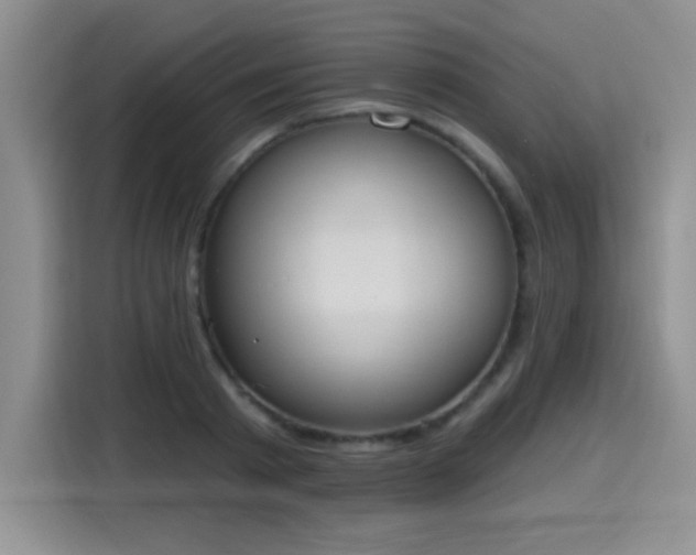 X0000115420793200911101630