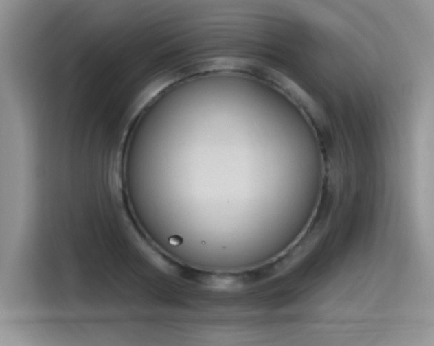X0000115420794200911101630