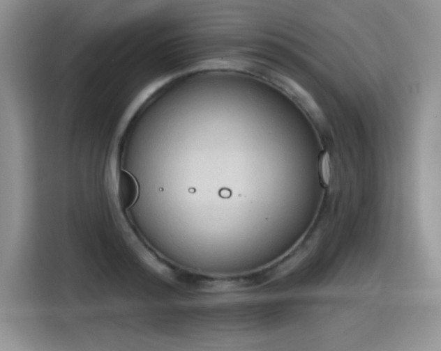 X0000115420796200911101630