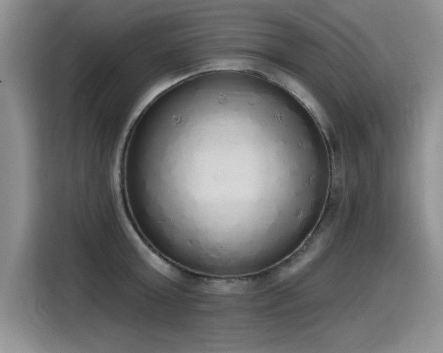 X0000115420803200911101630