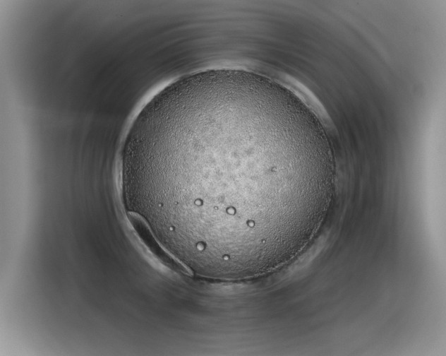 X0000115420804200911101630