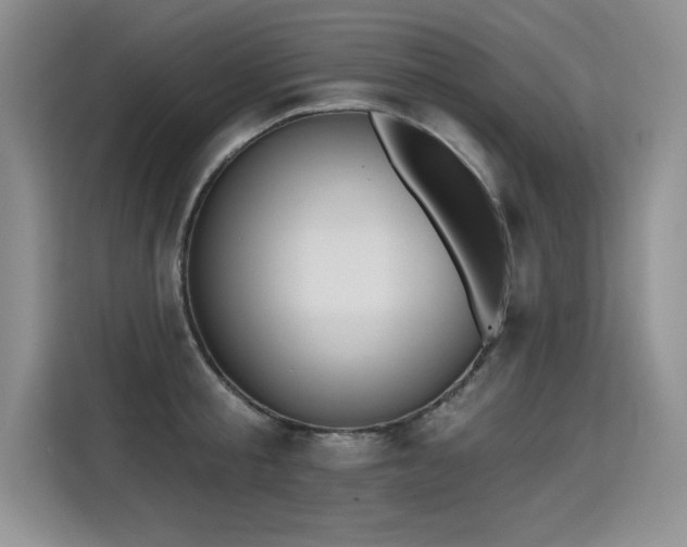 X0000115420805200911101630