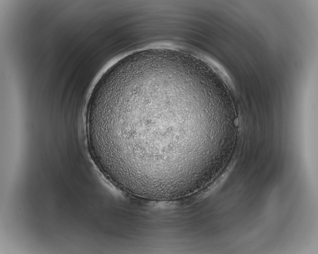 X0000115420808200911101630
