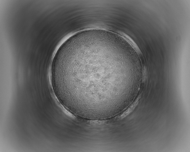 X0000115420812200911101630