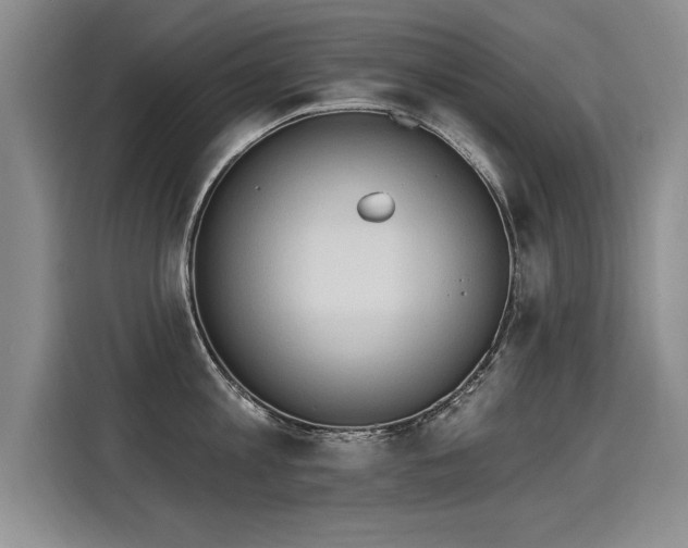 X0000115420813200911101630