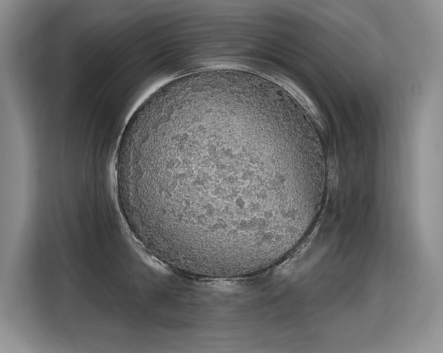 X0000115420814200911101630