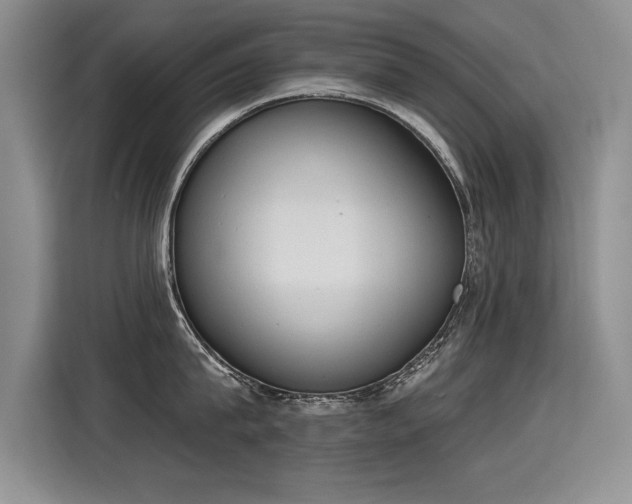 X0000115420815200911101630