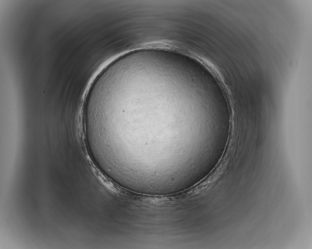 X0000115420816200911101630