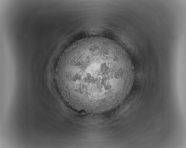 X0000115420817200911101629