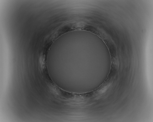 X0000115420818200911101629