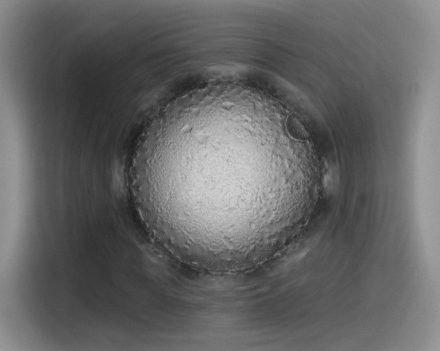X0000115420819200911101629