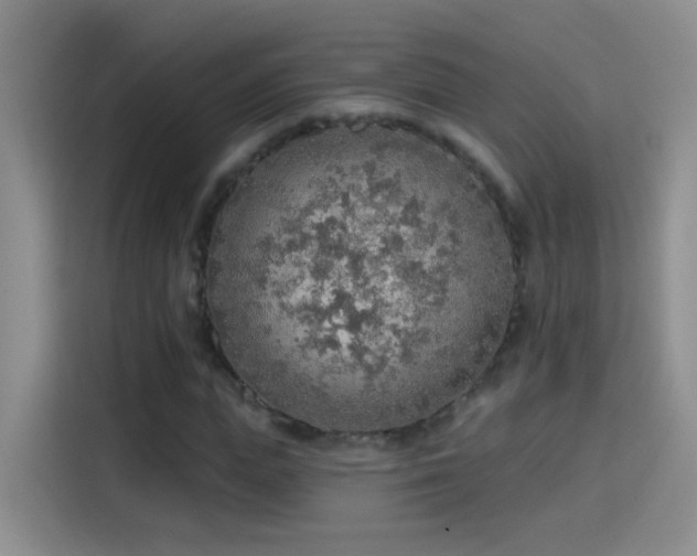 X0000115420823200911101630