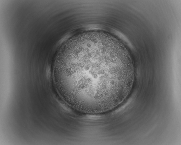 X0000115420825200911101630