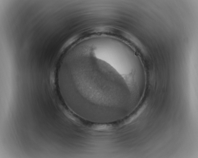 X0000115420826200911101630