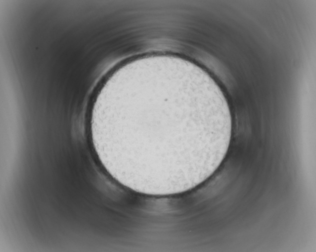 X0000115420828200911101630