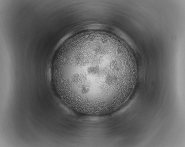 X0000115420829200911101630