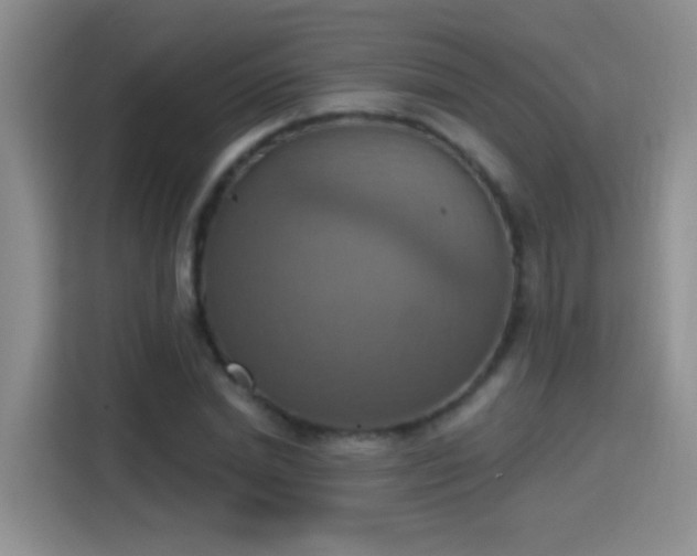 X0000115420830200911101630