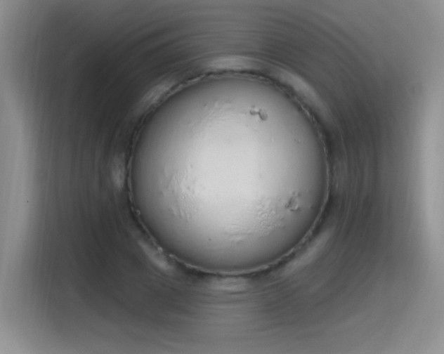 X0000115420833200911101630