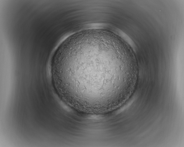 X0000115420835200911101630