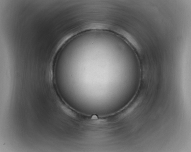 X0000115420837200911101630