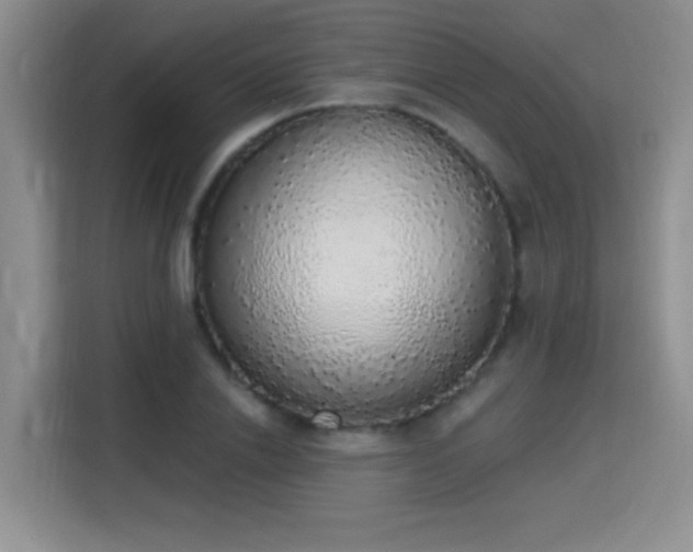 X0000115420838200911101630