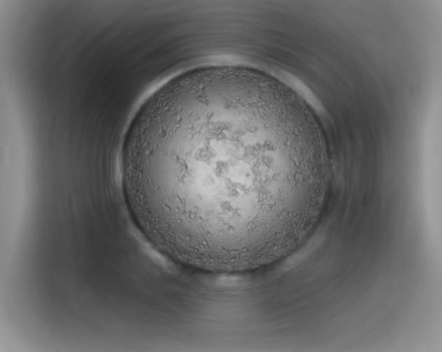 X0000115420839200911101630