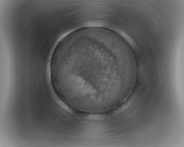 X0000115420840200911101630