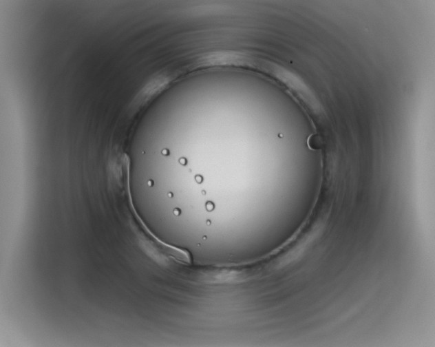 X0000115420841200911101630