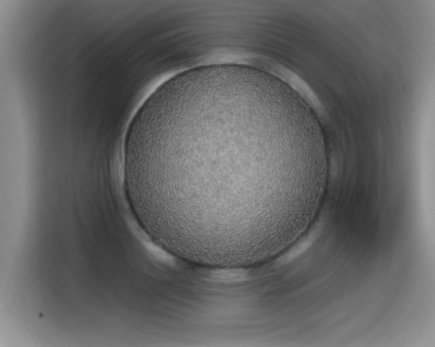 X0000115420844200911101630