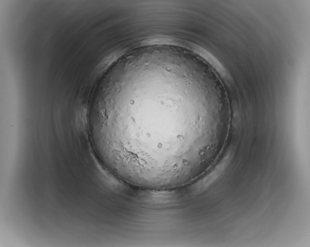 X0000115420849200911101630