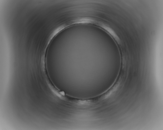 X0000115420850200911101630