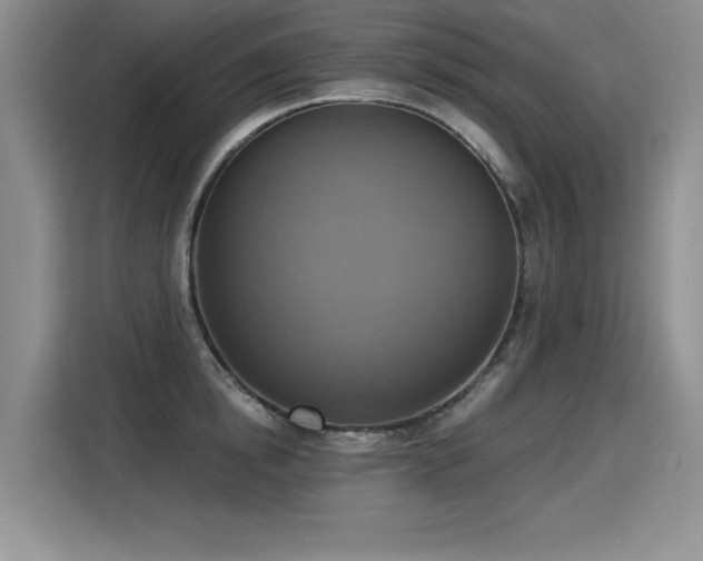X0000115420854200911101630