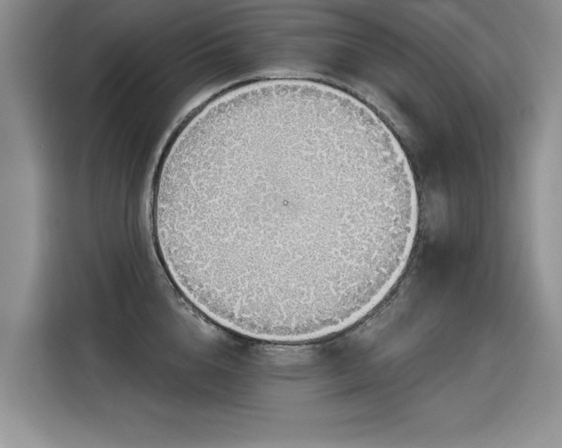 X0000115420856200911101630