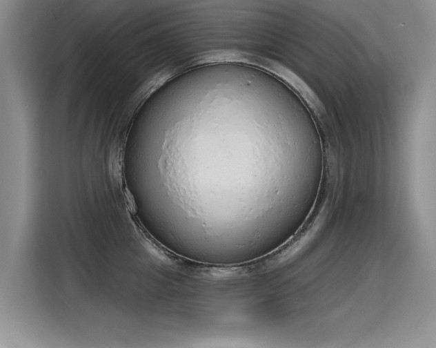 X0000115420857200911101630