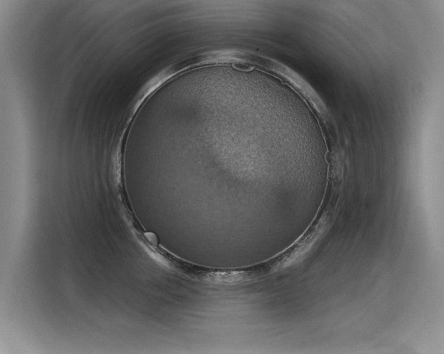 X0000115420858200911101630