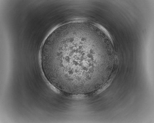 X0000115420859200911101630