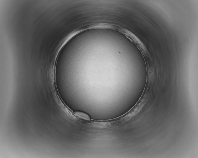 X0000115420860200911101630