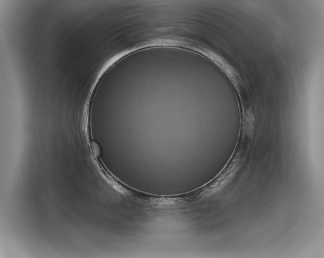 X0000115420862200911101630