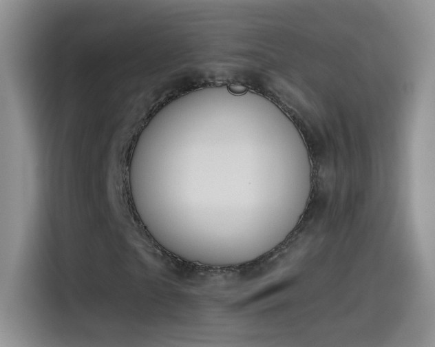X0000115420865200911101629