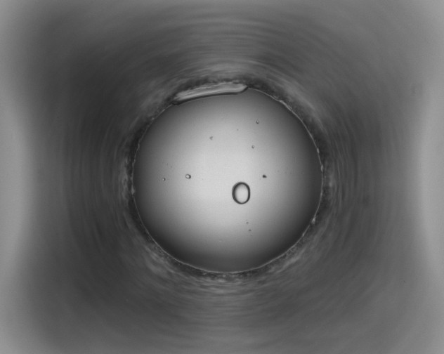 X0000115420868200911101629