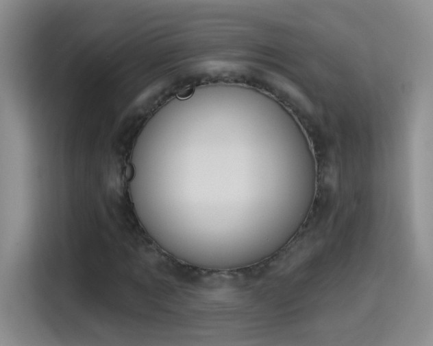 X0000115420869200911101629