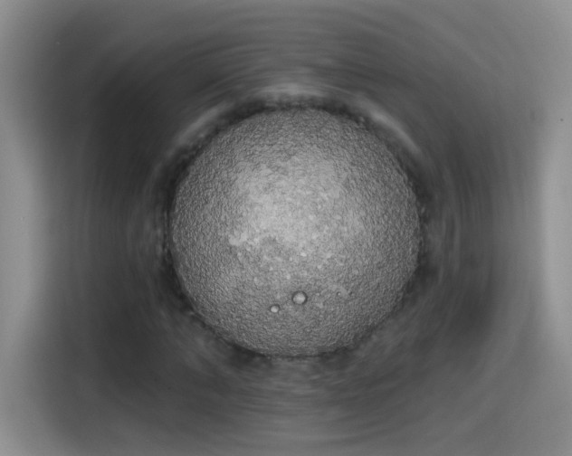 X0000115420870200911101629