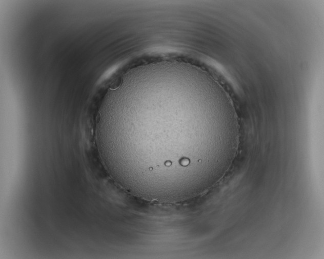 X0000115420871200911101629