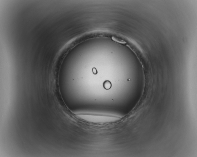 X0000115420872200911101629